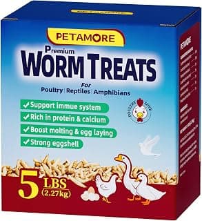 Dried grubs for Chicken -Alternative to Dried mealworms for Chickens-Dried Black Soldier F