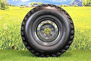 Antego Tire & Wheel 25x10.00-12 Tire with 4 Hole Wheel Assembly for Kubota RTV’s 900, 1100