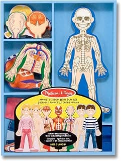 Melissa & Doug Magnetic Human Body Anatomy Play Set With 24 Magnetic Pieces and Storage Tr